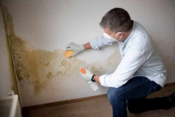 Best Dehumidification Services  in Bling, AR