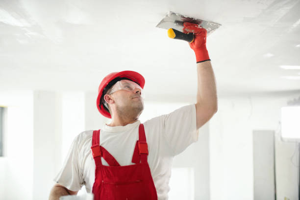 Best Mold Documentation for Insurance Claims  in Bling, AR