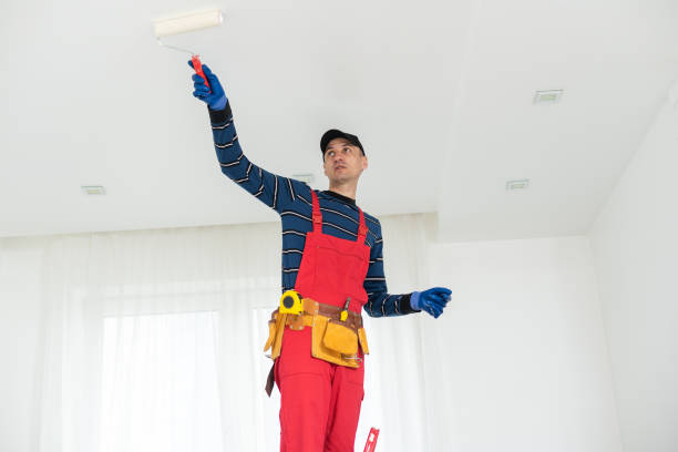 Best Mold Remediation for Rental Properties  in Bling, AR