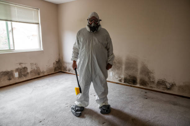 Mold Remediation for Vacation Homes in Barling, AR
