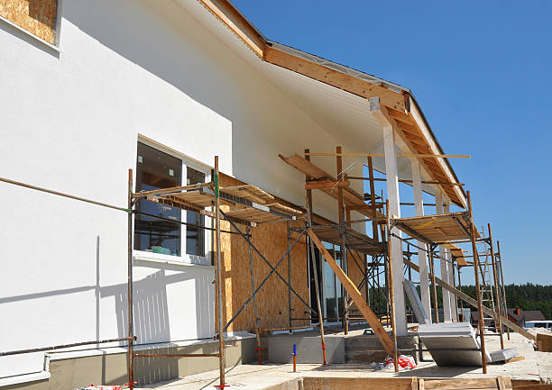  Bling, AR Mold Removal Pros